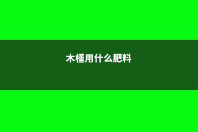 木槿怎么施肥 (木槿用什么肥料)