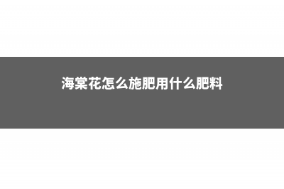 海棠花的施肥方法 (海棠花怎么施肥用什么肥料)