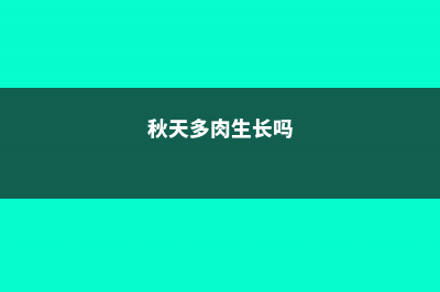 秋天的多肉你都养不活？看看是不是中了这几招！ (秋天多肉生长吗)