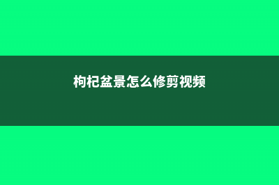 枸杞盆景怎么修剪 (枸杞盆景怎么修剪视频)