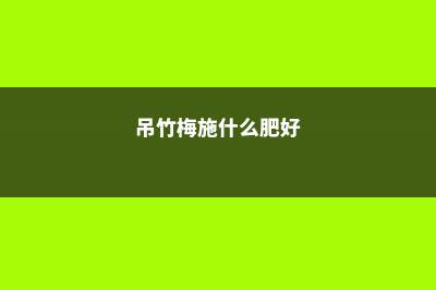 吊竹梅怎么施肥 (吊竹梅施什么肥好)