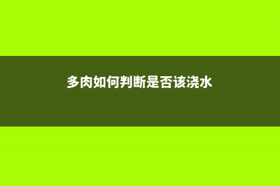 如何判断多肉需要换盆 (多肉如何判断是否该浇水)