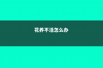 花不活就丢水里，5天生根，根粗得像指头！- (花养不活怎么办)