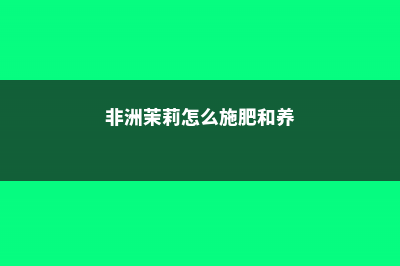 非洲茉莉怎么施肥 (非洲茉莉怎么施肥和养)