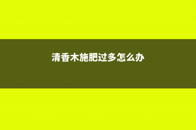 清香木怎么施肥 (清香木施肥过多怎么办)