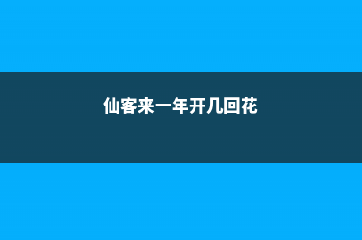 仙客来一年开几次花 (仙客来一年开几回花)