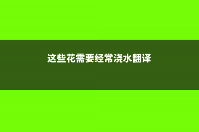 这些花现在必须剪，要不然秋天丑哭你！ (这些花需要经常浇水翻译)