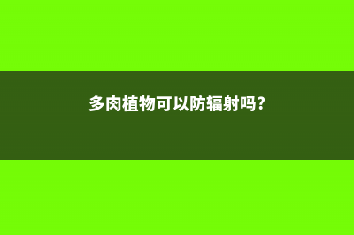 多肉能防辐射吗？ (多肉植物可以防辐射吗?)