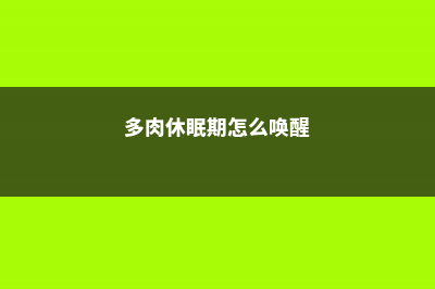 多肉休眠期该怎么养护 (多肉休眠期怎么唤醒)