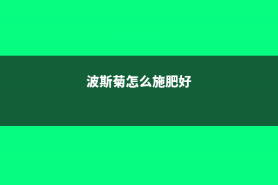 波斯菊怎么施肥？ (波斯菊怎么施肥好)