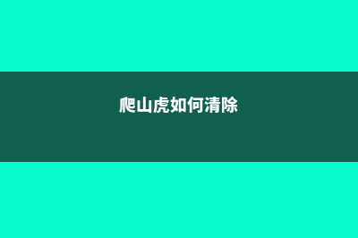 爬山虎怎么清除？ (爬山虎如何清除)