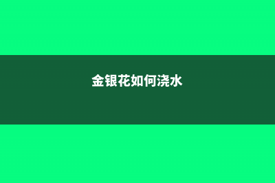 金银花怎么浇水，这样浇水才正确！ (金银花如何浇水)