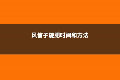 风信子怎么施肥吸收效果最好？  (风信子施肥时间和方法)