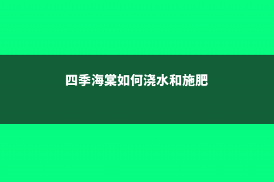 四季海棠多久浇一次水 (四季海棠如何浇水和施肥)