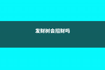 发财树看见这种枝，赶紧剪，要不然过两天就彻底长残！- (发财树会招财吗)