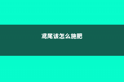 鸢尾这样施肥，爱开花叶还壮！ (鸢尾该怎么施肥)