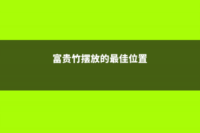 原来富贵竹的摆放，也是有讲究的，这样摆才能富贵平安！ (富贵竹摆放的最佳位置)