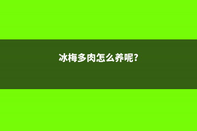 冰梅多肉怎么养 (冰梅多肉怎么养呢?)