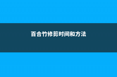 百合竹的扦插方法 (百合竹修剪时间和方法)