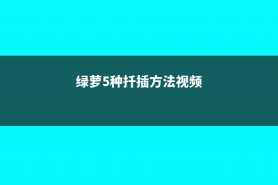 绿萝5种扦插方法，学会1种，家里就多得放不下了！ (绿萝5种扦插方法视频)