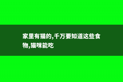 家里有猫的，千万别养这种花！不然你就摊上大事了！ (家里有猫的,千万要知道这些食物,猫咪能吃)