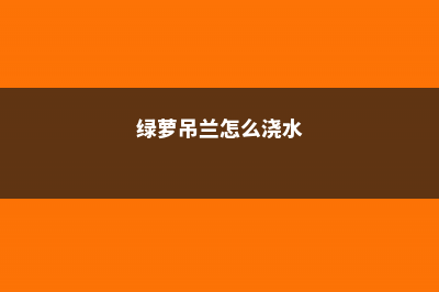 绿萝吊兰...这样扦插5天生根，再便宜也别买！ (绿萝吊兰怎么浇水)