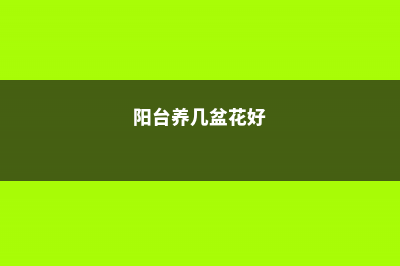 阳台养了100盆花，高温1个月，死得只剩100个盆！- (阳台养几盆花好)