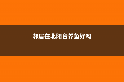 邻居在北阳台养的花，比我的南阳台还美，怎么做到的？ (邻居在北阳台养鱼好吗)