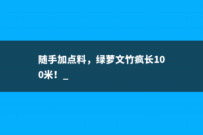 随手加点料，绿萝文竹疯长100米！ 