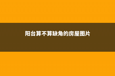 阳台缺啥不能缺它，比花艳丽1000倍，好养还好吃！- (阳台算不算缺角的房屋图片)