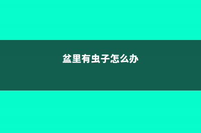 盆里有虫子？赶紧埋点这个，3天就能死光光！ (盆里有虫子怎么办)