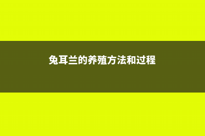 盆底埋颗鹌鹑蛋，花又壮又猛，长疯了！ 