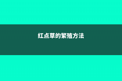 红点草的繁殖方式 (红点草的繁殖方法)