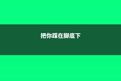 你踩在脚底下的野草，不仅好吃，还能长寿！ (把你踩在脚底下)