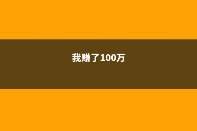 赚够100万，我就辞职回家，赏花喝茶过自己的小日子！- (我赚了100万)