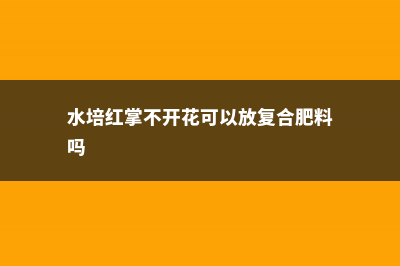 水培红掌不开花怎么办 (水培红掌不开花可以放复合肥料吗)