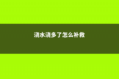 浇水多做1件事，花蹭蹭长，比别人快10倍！ (浇水浇多了怎么补救)