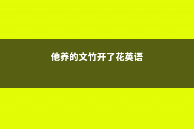 他养的文竹开了花，还结出100多个果，种土里全部发芽！ (他养的文竹开了花英语)