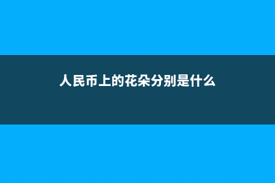 人民币上的花，养一盆，天天有钱花！ (人民币上的花朵分别是什么)