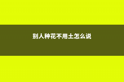 别人种花不用土，只用它，花长的根粗叶壮绿油油！- (别人种花不用土怎么说)