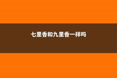 七里香和九里香的区别 (七里香和九里香一样吗)