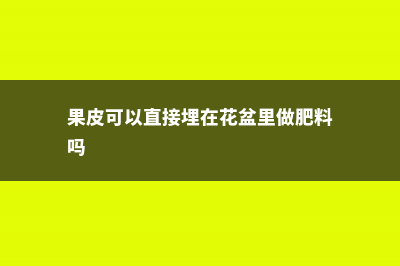 1块果皮扔盆里，花长得又壮又猛！ (果皮可以直接埋在花盆里做肥料吗)