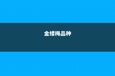 金缕梅的病虫害及其防治 – (金缕梅品种)