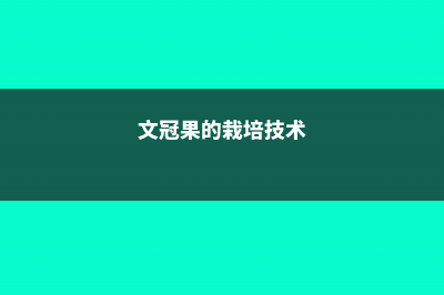 文冠果的繁殖方法 – (文冠果的栽培技术)