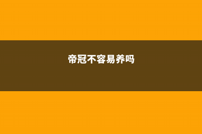 帝冠的繁殖方法 – (帝冠不容易养吗)