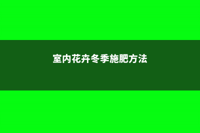 室内花卉冬季施肥方法 (室内花卉冬季施肥方法)