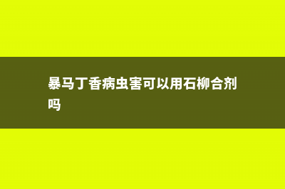 暴马丁香的病虫害及其防治 – (暴马丁香病虫害可以用石柳合剂吗)