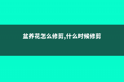 春季盆花整形修剪技巧 (盆养花怎么修剪,什么时候修剪)