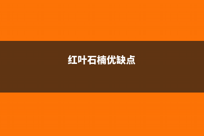 红叶石楠的合理修剪 – (红叶石楠优缺点)