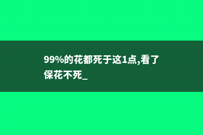 99%的花都死于这1点,看了保花不死 